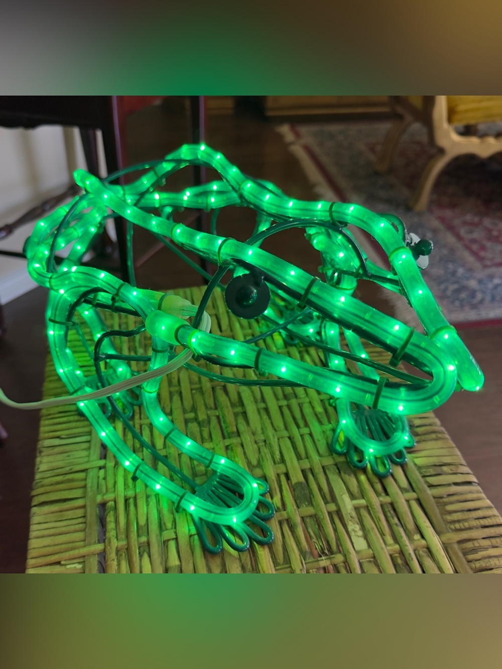 Rare Vintage Outdoor Garden Lighted Rope Frog Shaped Design.